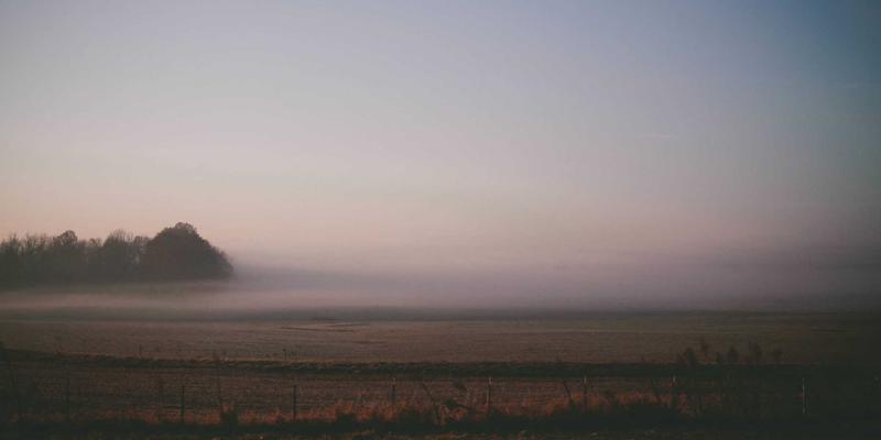 AI赋能医学影像：精准诊断如何重塑健康护理与医疗支持新格局