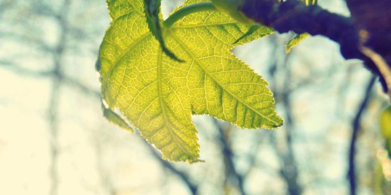 Health Care21：迈向整体健康与整合护理的新纪元