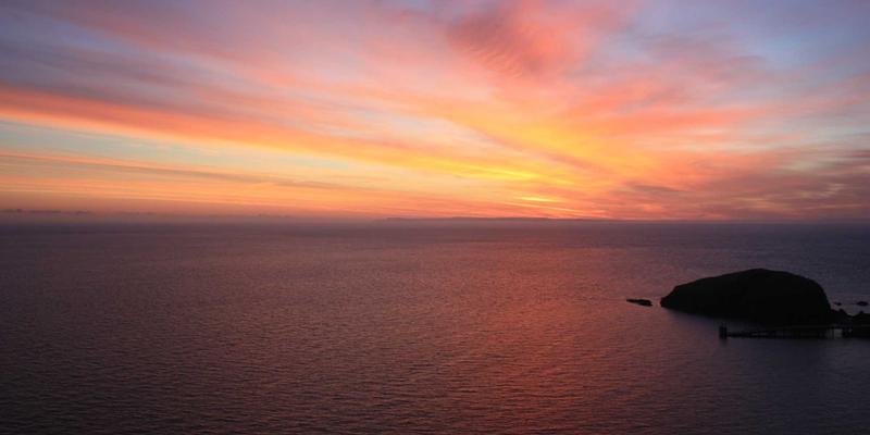 Health Care怎么用：从Medical Support到Nursing的全面指南