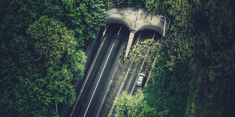 United Care Wellness视角：针灸与草药的实际疗效分析