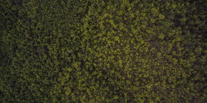 United Care：以整合式健康服务，重新定义医疗保健的卓越优势