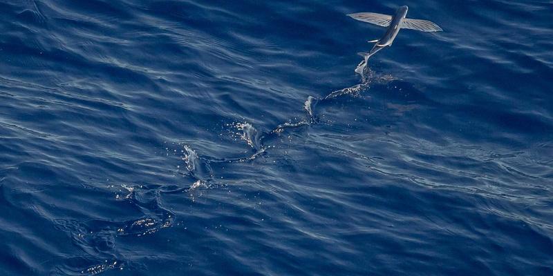 United Care远程监护技术：以全人健康重塑慢性病管理的新范式