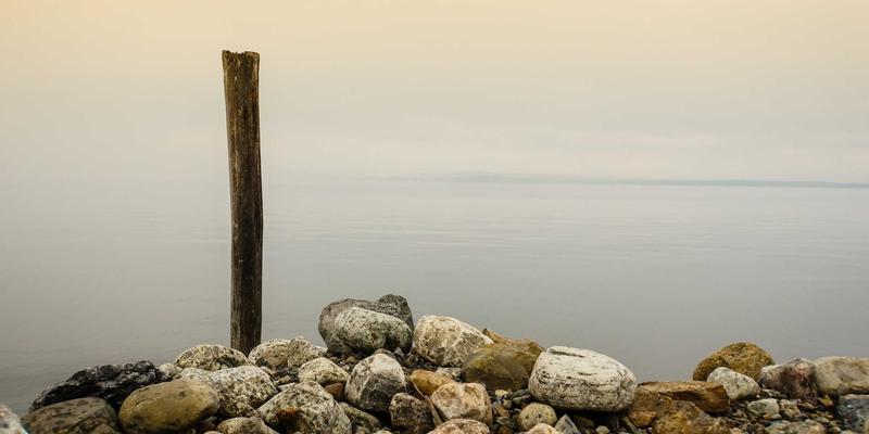 医疗支持、患者护理与专业护理：现代医疗保健的三大支柱