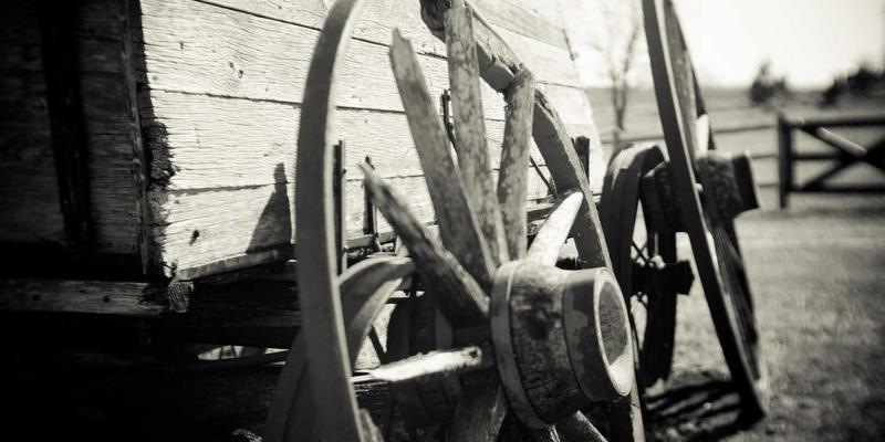 手术机器人技术普及：重塑医疗服务的整体健康支持新范式