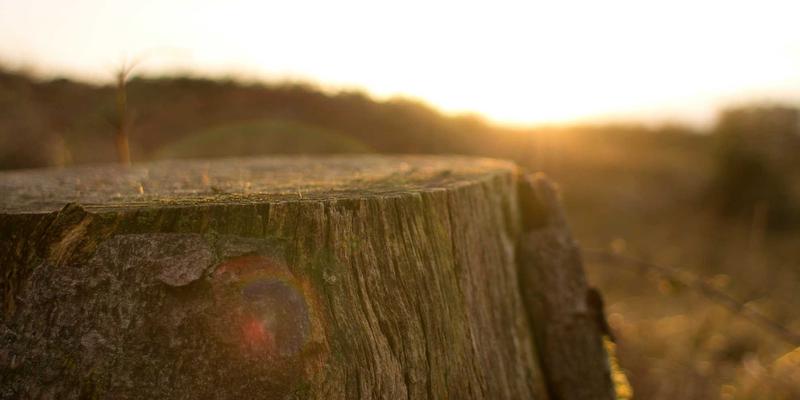 护理:现代医疗服务的核心支柱与人文关怀的实践