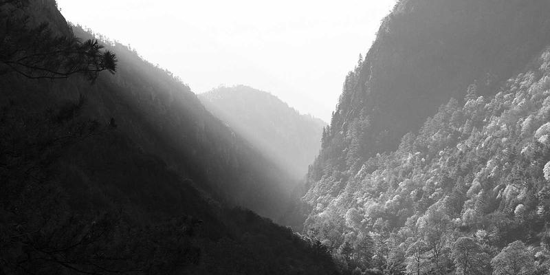 智能诊断新纪元：医疗人工智能如何重塑医学影像服务与健康管理