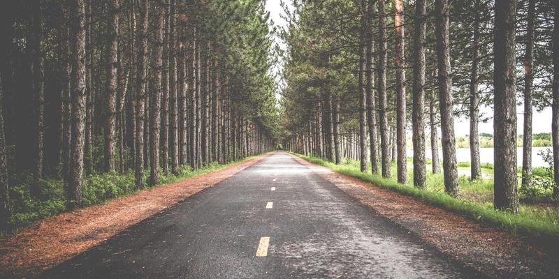 癌症筛查指南：高风险人群必须了解的医疗检查与健康管理策略 | United Care