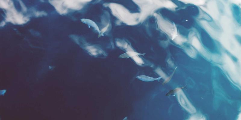 罕见病药物研发的困境与突破：患者组织如何重塑整体健康医疗生态