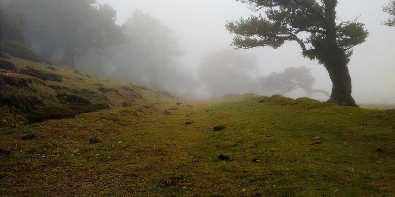 超越治疗：United Care如何通过整体健康理念重塑患者护理新范式